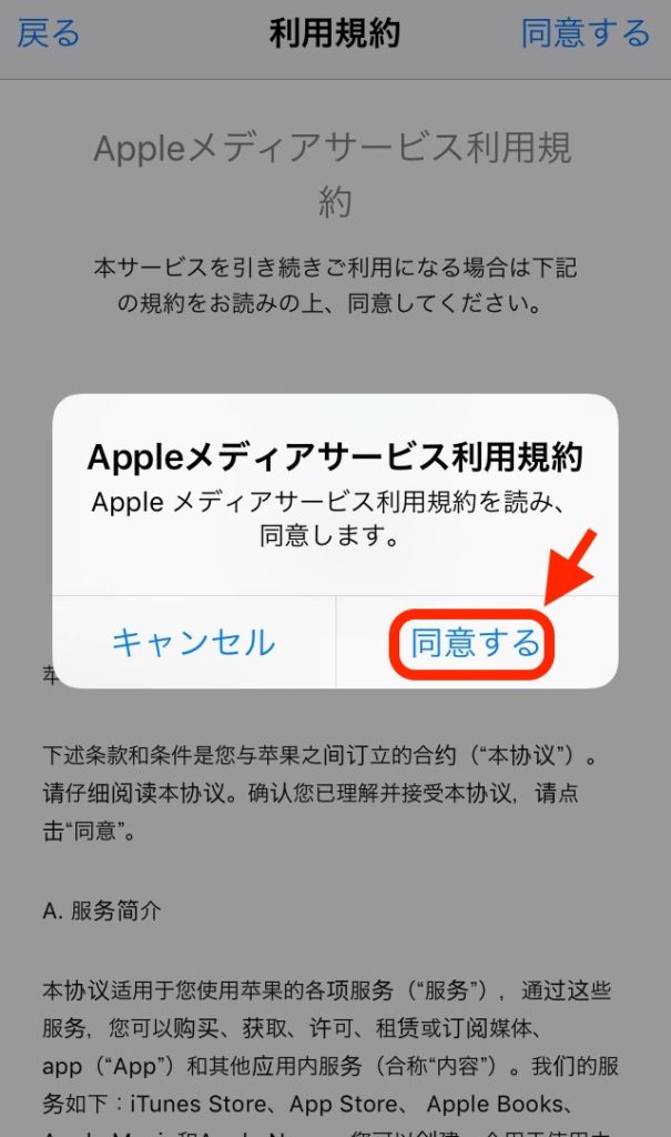 中国版TikTokのダウンロード方法(iPhone)